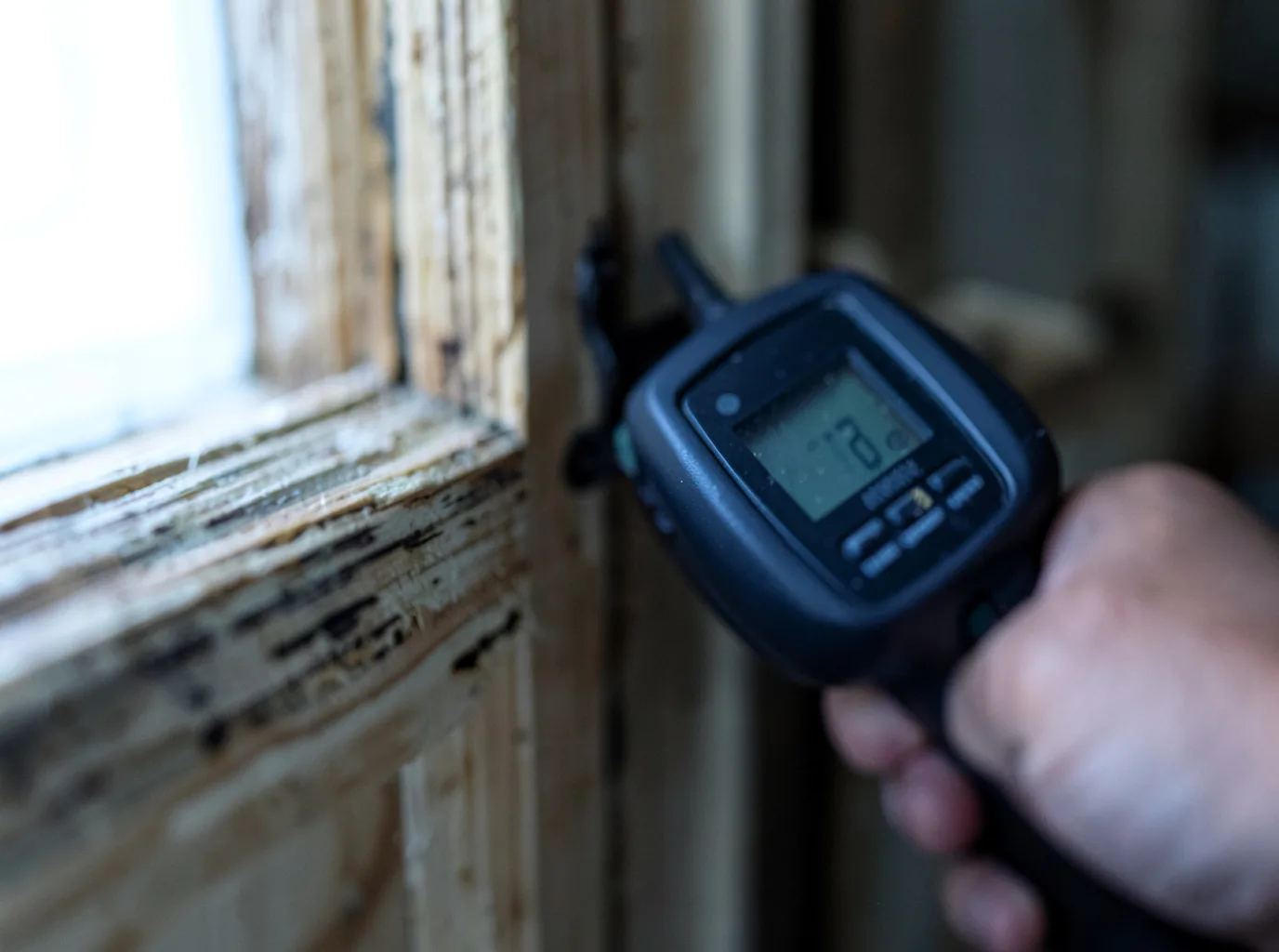 Commercial Water Damage Restoration in Mooseheart, IL